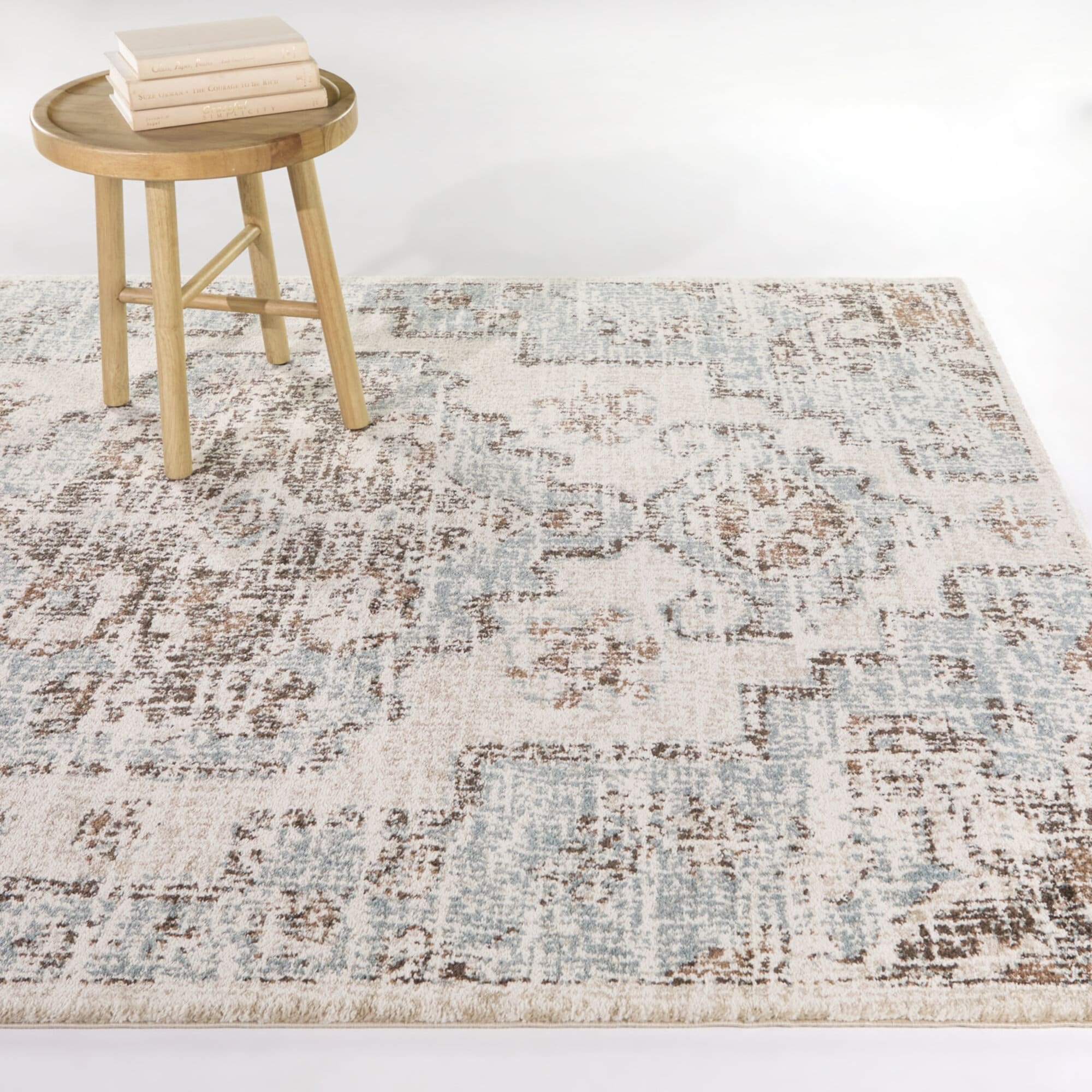 Wolcott Vintage Oriental Area Rug