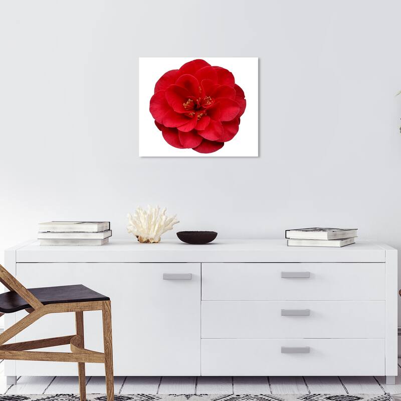 Wynwood Studio Canvas Floral and Botanical Red Floral Red and Modern & Contemporary Wall Art Canvas Print - 20 x 20