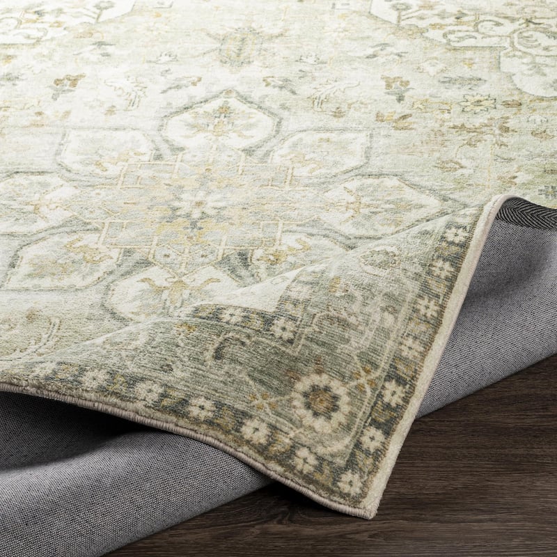 Livabliss Erin Updated Traditional Medallion Area Rug