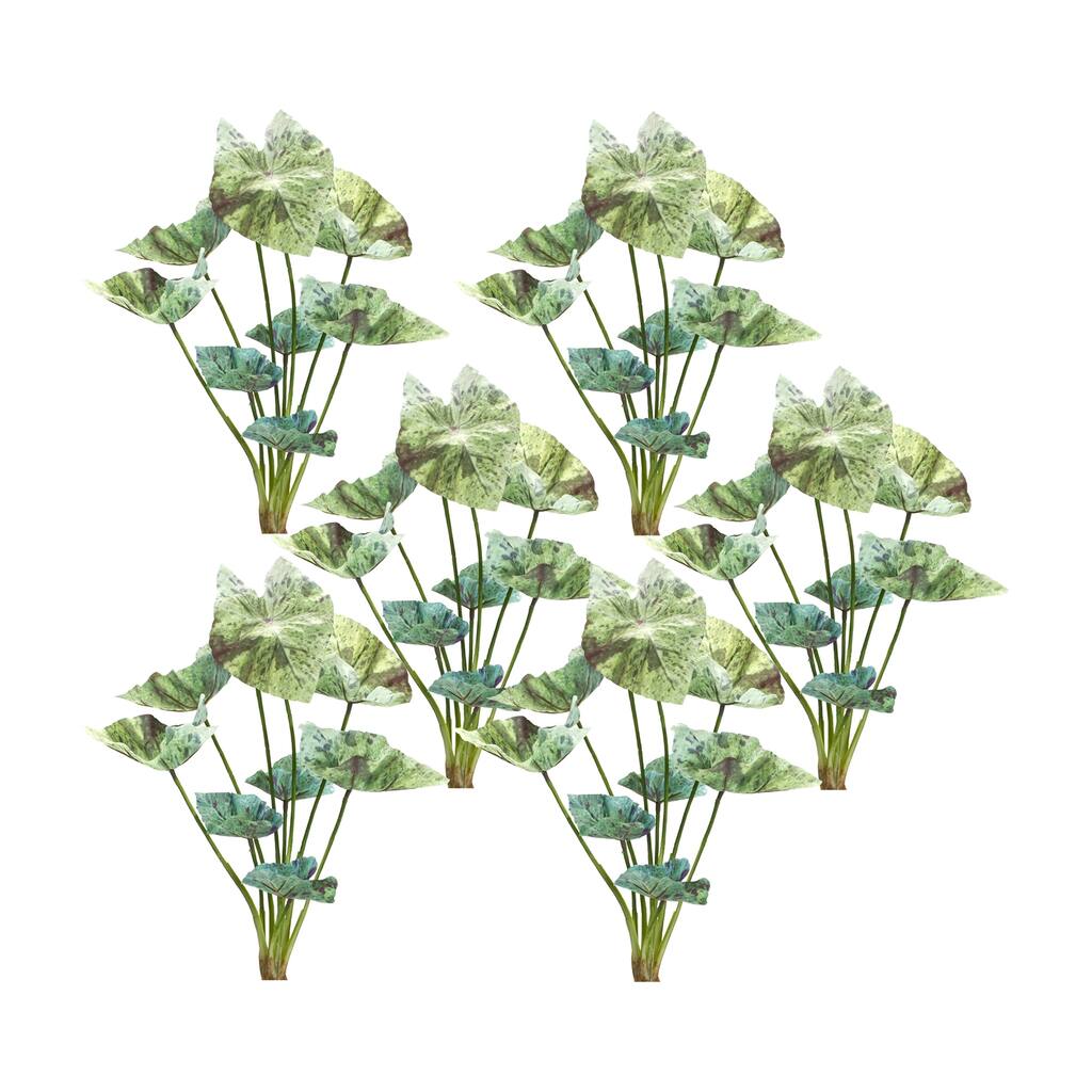 Caladium Bush (Set of 6) - 9 x 3 x 18.5