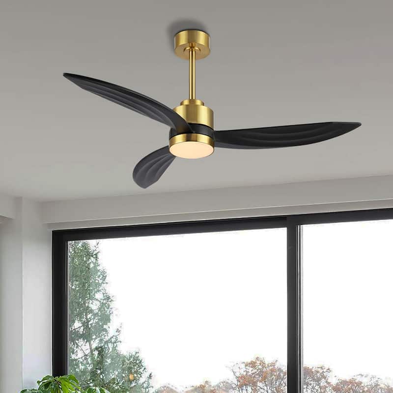 WINGBO 64-inch 3-Blades Indoor Celiing Fan with LED Light, White