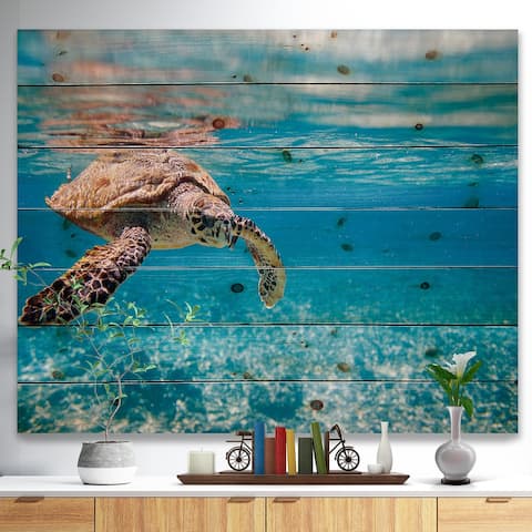 Designart 'Large Hawksbill Sea Turtle' Abstract Print on Pine Wood - Blue