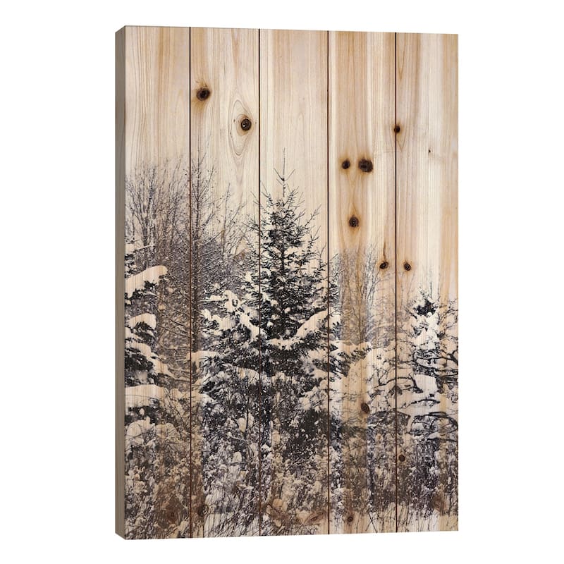 Winter Pines Print On Wood by Chelsea Victoria - Multi-Color - 26x18x1.5