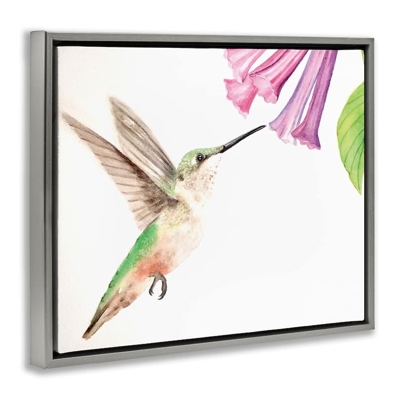 Stupell Hummingbird & Bluebell Flower Framed Floater Canvas Wall Art Design By Stephanie Fielden