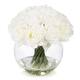 Option White