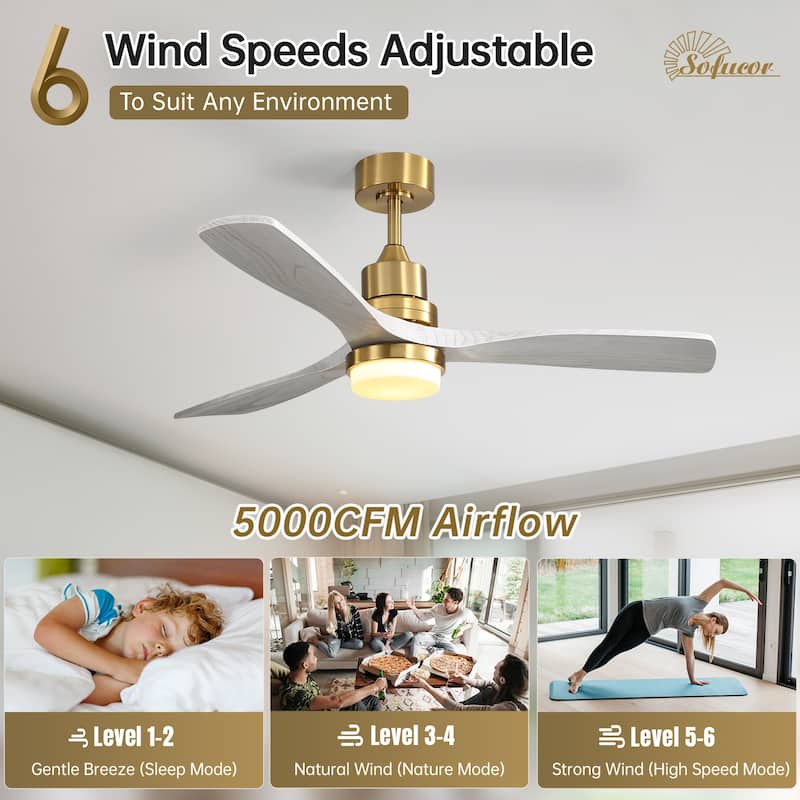 52" Solid Wood Noiseless 3-Blade Ceiling Fans with Dimmable LED Light Optional and Remote, 6-Speed Reversible DC Motor