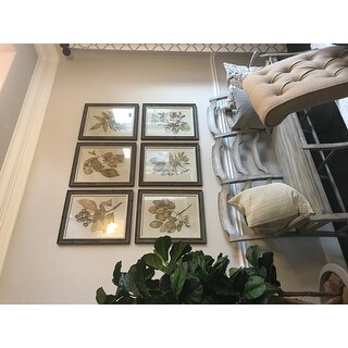 prints uttermost seedlings framed frames recommend highly read