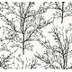 preview thumbnail 1 of 3, Seabrook Designs Piety Winter Branches Unpasted Wallpaper 27 in. W x 27 ft. L - Onyx