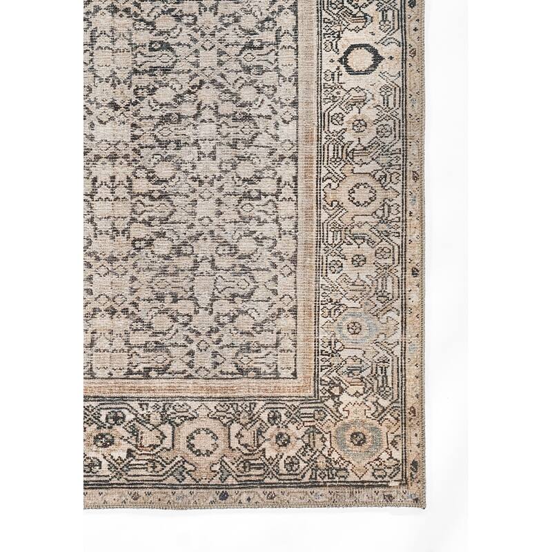 Momeni Ariana Traditional Oriental Polyester Area Rug