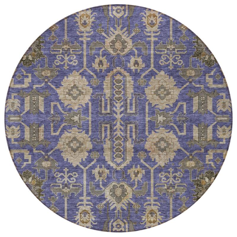 HomeRoots Oriental Traditional Rectangle Outdoor Rug