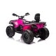 preview thumbnail 18 of 18, Can Am Outlander 24V Ride on ATV
