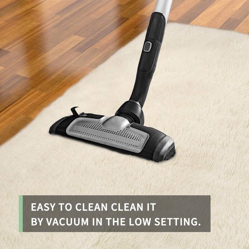 Area Rugs 8x10 Living Room, Large Area Rug Shag Shaggy Carpet Soft Plush Furry Bedside Rug, Machine Washable Area Rug - 6' x 7'