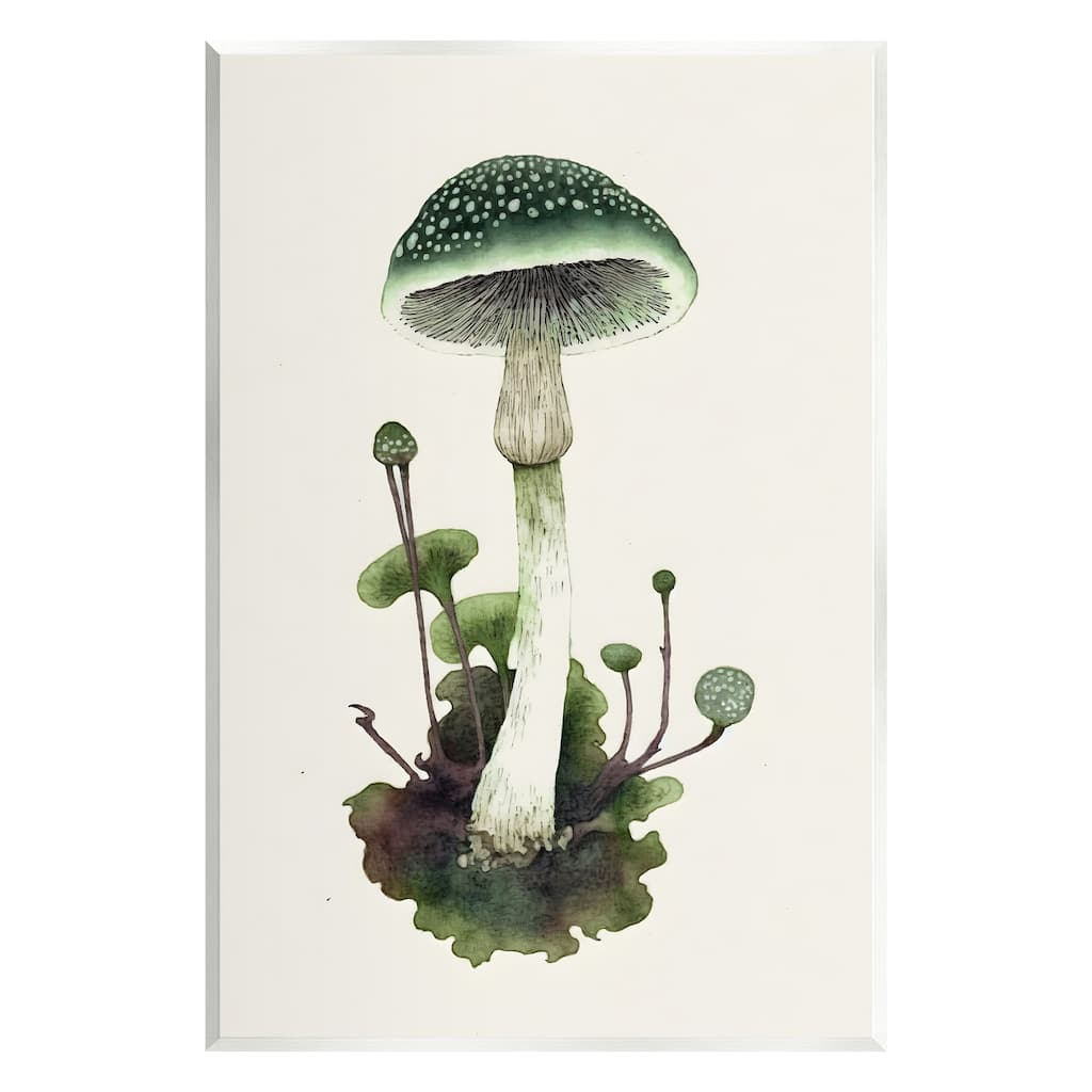 Stupell Forest Green Mushroom Wall Plaque Art Design by Petals Prints Design