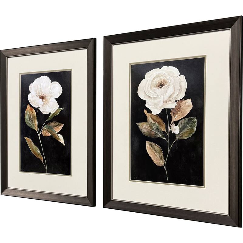 Paragon Botanical on Black Framed Art - Set of 2