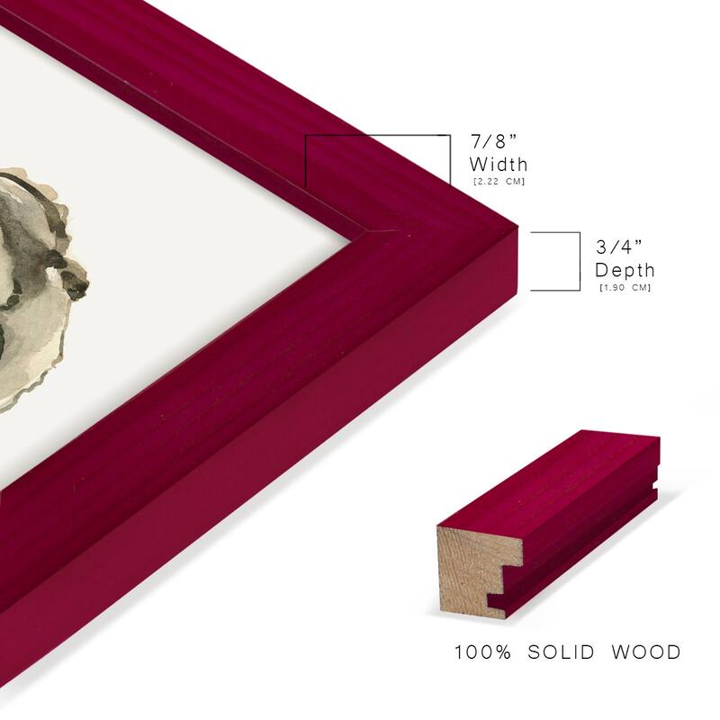 Neutral Oyster Study I -Framed Print w/glass-Cherry Red
