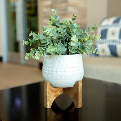 Eucalyptus in 5" Matte White Mayan Ceramic Pot on Wood Stand ,E PACK - ONE-SIZE