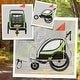 preview thumbnail 5 of 7, Aosom Child Baby Bike Trailer Kids 2 Seater, Bike Stroller Toddler, Green