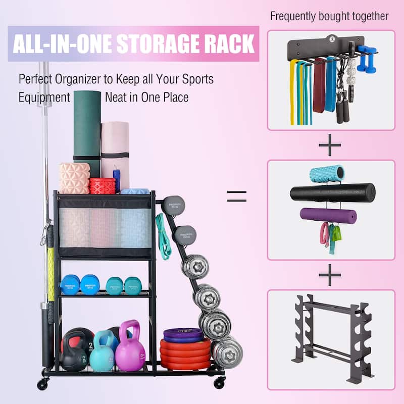 Sport Rack Dumbbell Rack Ball Organization and Storage