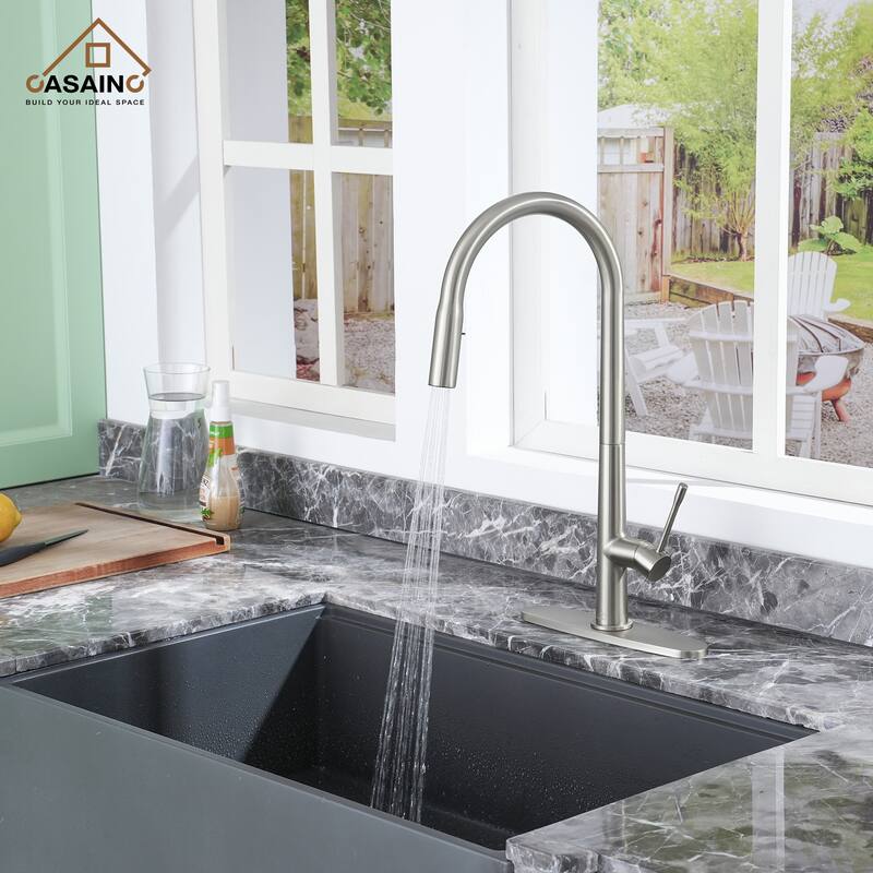 Single Handle Pull-Down Sprayer Kitchen Faucet - Chrome/Clear