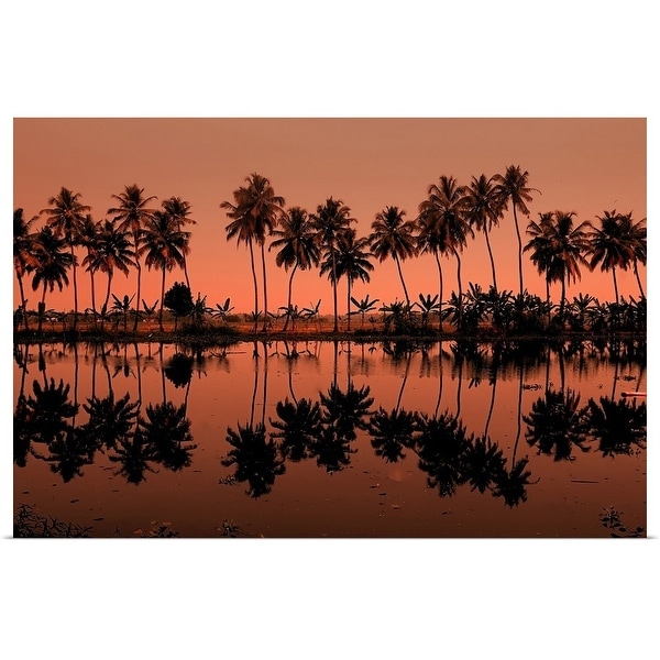 "Row of palm trees during sunset at Kumarakom, India." Poster Print