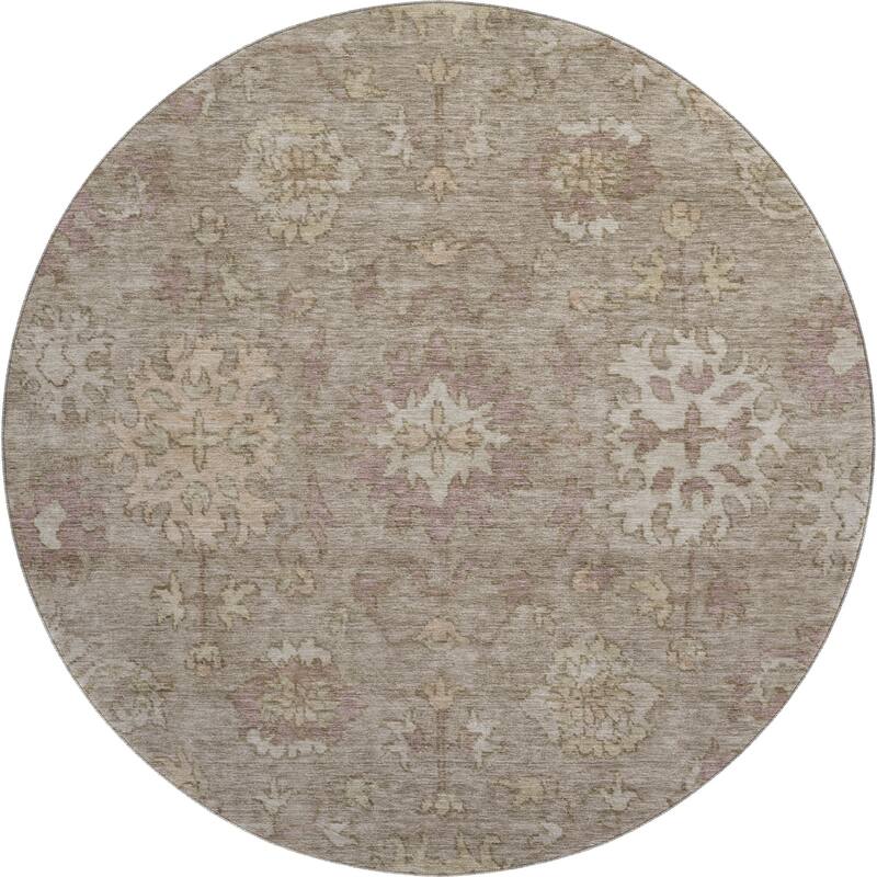 Premium Washable Super Soft Traditional Caply Mayfield Rug