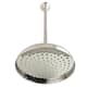 Option Polished Nickel