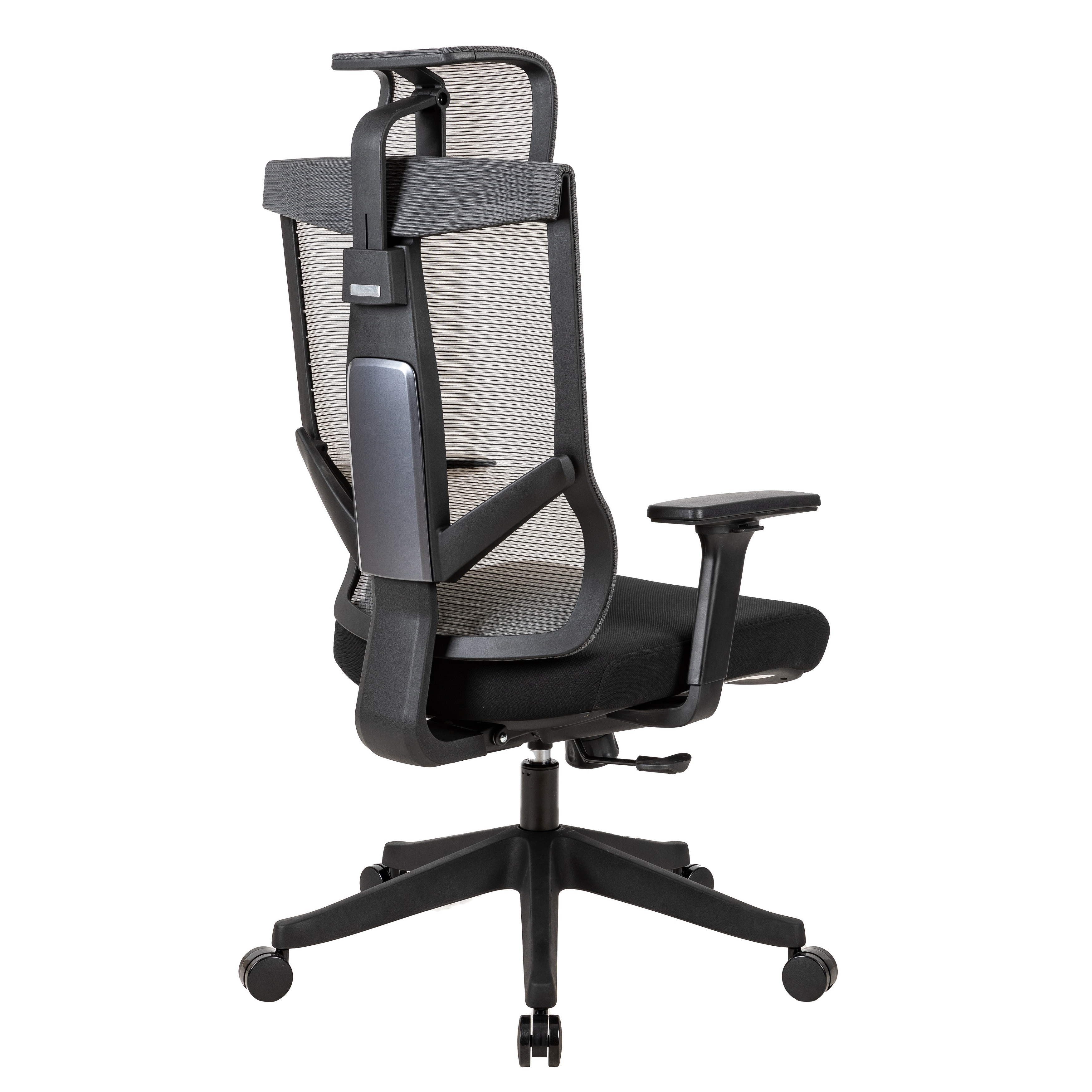 Excustive Office Chair with Headrest and 2D Armrest, Chase Back