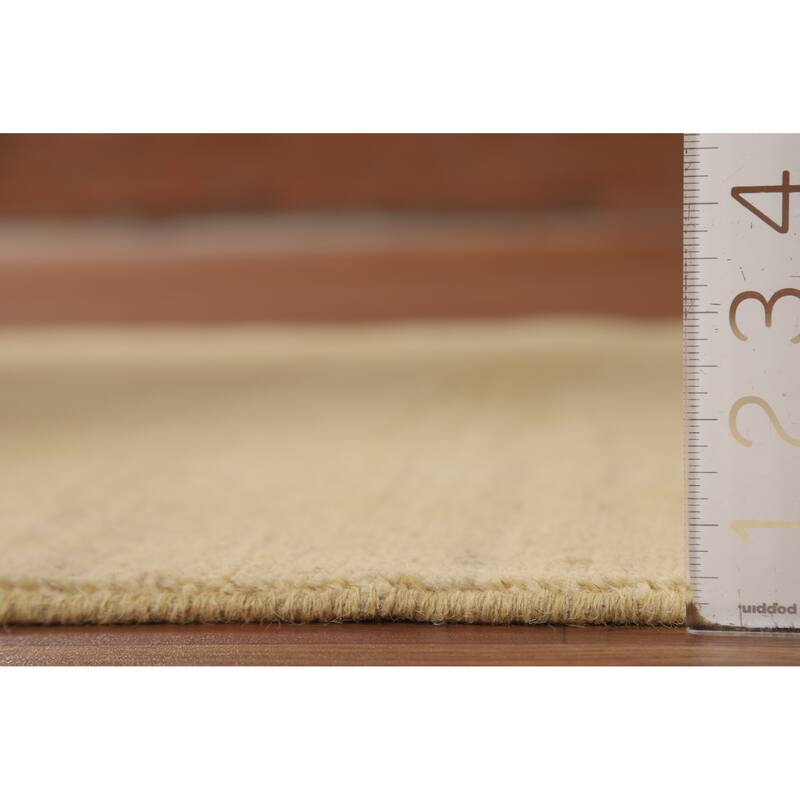 Modern Gabbeh Oriental Foyer Rug Solid Handmade Wool Carpet - 3'3"x 4'11"