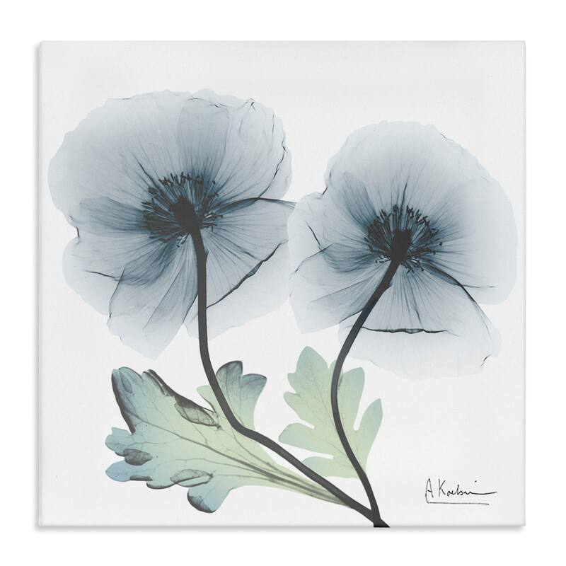 Stupell Sapphire Florals Duo Canvas Wall Art Design By Albert Koetsier - 24 x 24