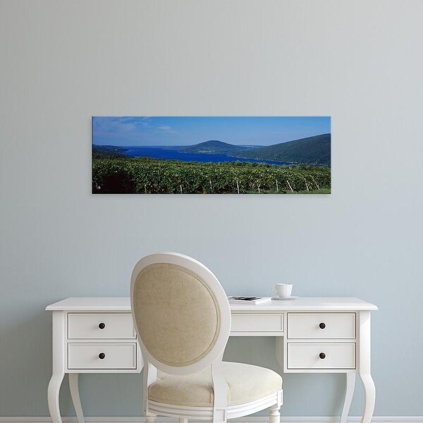 Easy Art Prints Panoramic Image 'Vineyards Near A Lake, Canandaigua Lake, Finger Lakes, New York, USA' Canvas Art