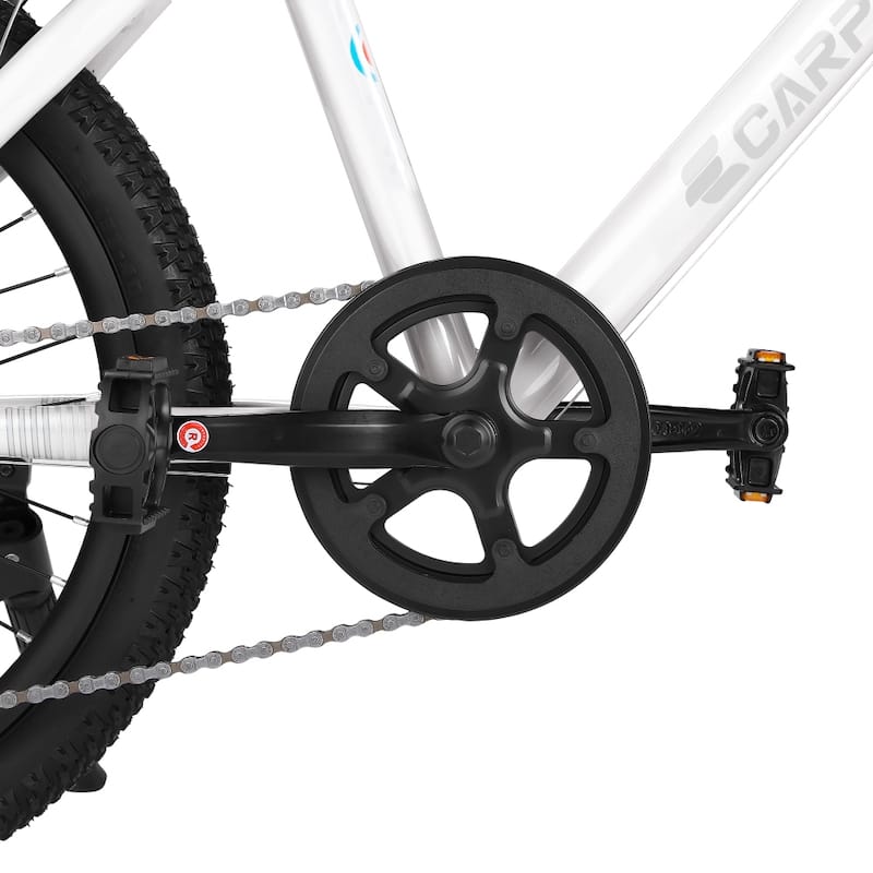 20 In. Steel Mountain Bike with 7 Speed for Kids
