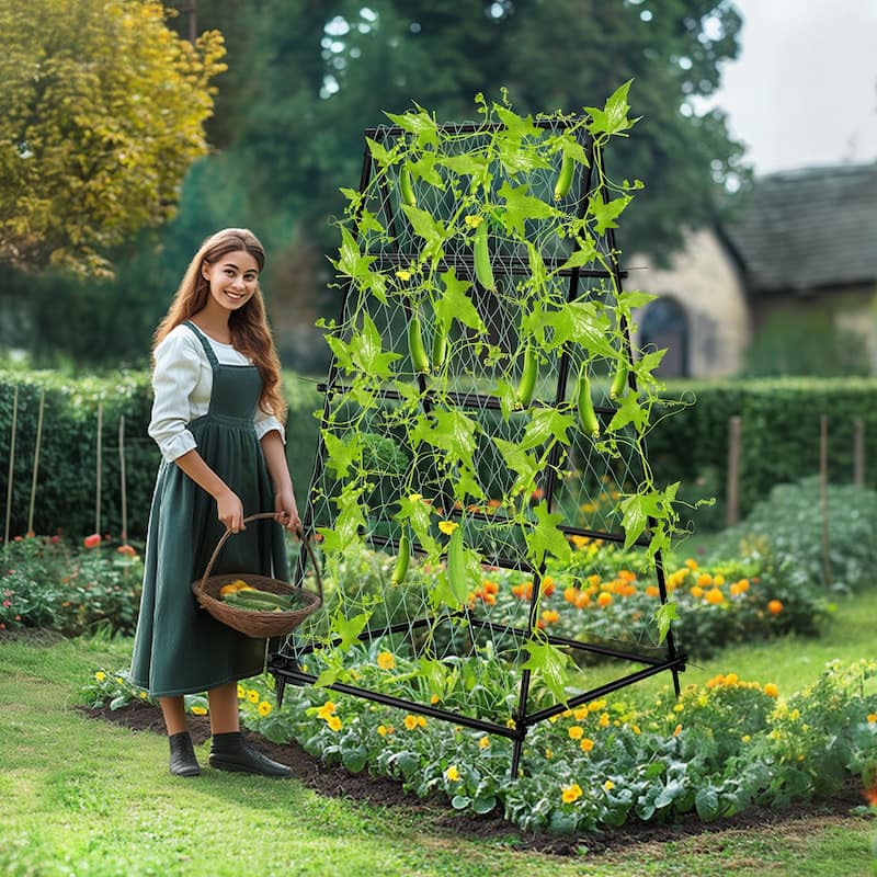 Triangle Garden Arch Trellis for Climbing Plants
