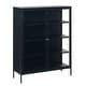 preview thumbnail 14 of 25, Rye Studio Cairyn Modern Glass and Metal Cabinet