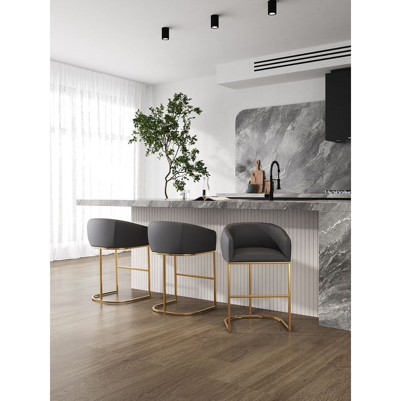 Manhattan Comfort Louvre 40 in. Black Stainless Steel Barstool