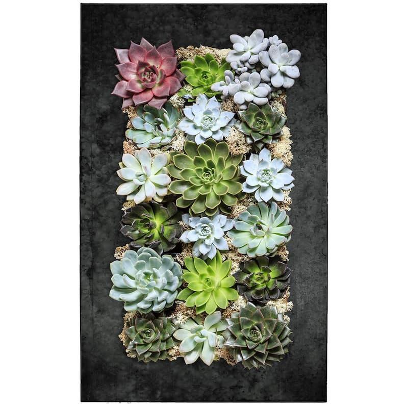 Carson Carrington Tasback Galvanized Steel/ Zinc Succulent Planter - Large (18 squares) - Black Zinc