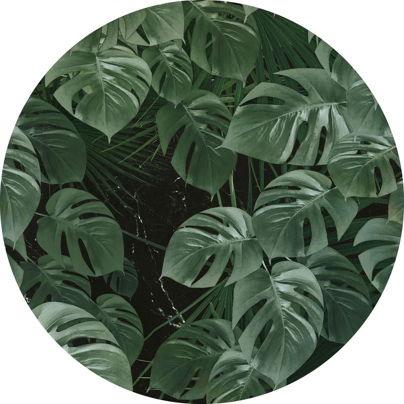 Komar Novel Monstera Non Woven Dot Decal