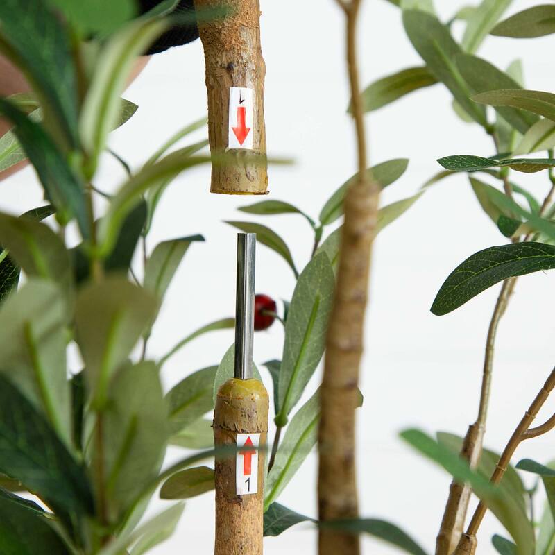 6' Artificial Olive Tree with Natural Trunk - Green