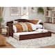 Option Walnut