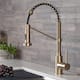 Kraus Bolden 2-Function 1-Handle Commercial Pulldown Kitchen Faucet - KPF-1610 - 18" Height - BG - Brushed Gold