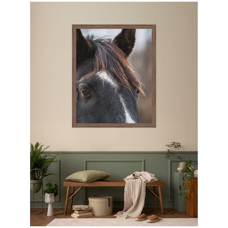 Kate and Laurel Black and White Horse by Emiko and Mark Franzen F2 Images Framed Wall Art Print
