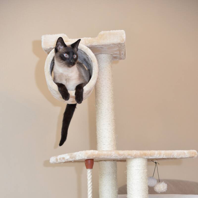 62" Real Wood Cat Tree With Scratch posts, Hammock - Beige