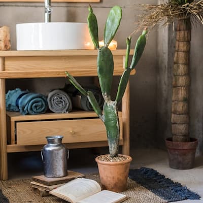 RusticReach Artificial Plant Morelos Cactus