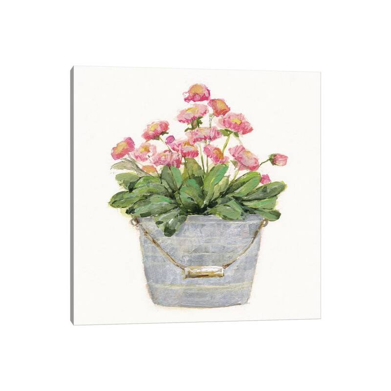 iCanvas "Country Bluch IV" by Sally Swatland Canvas Print