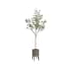 Option Pewter/Rustic Brown