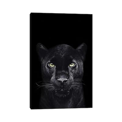 iCanvas "The Panther On Black" by Valeriya Korenkova Canvas Print
