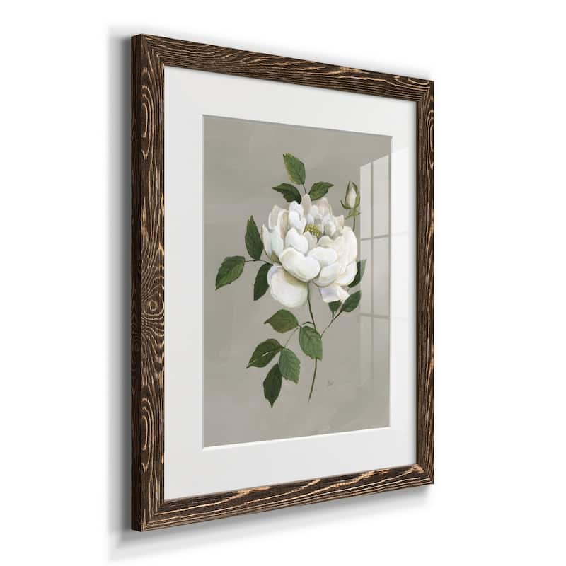 Botanical Rose-Premium Framed Print - Ready to Hang