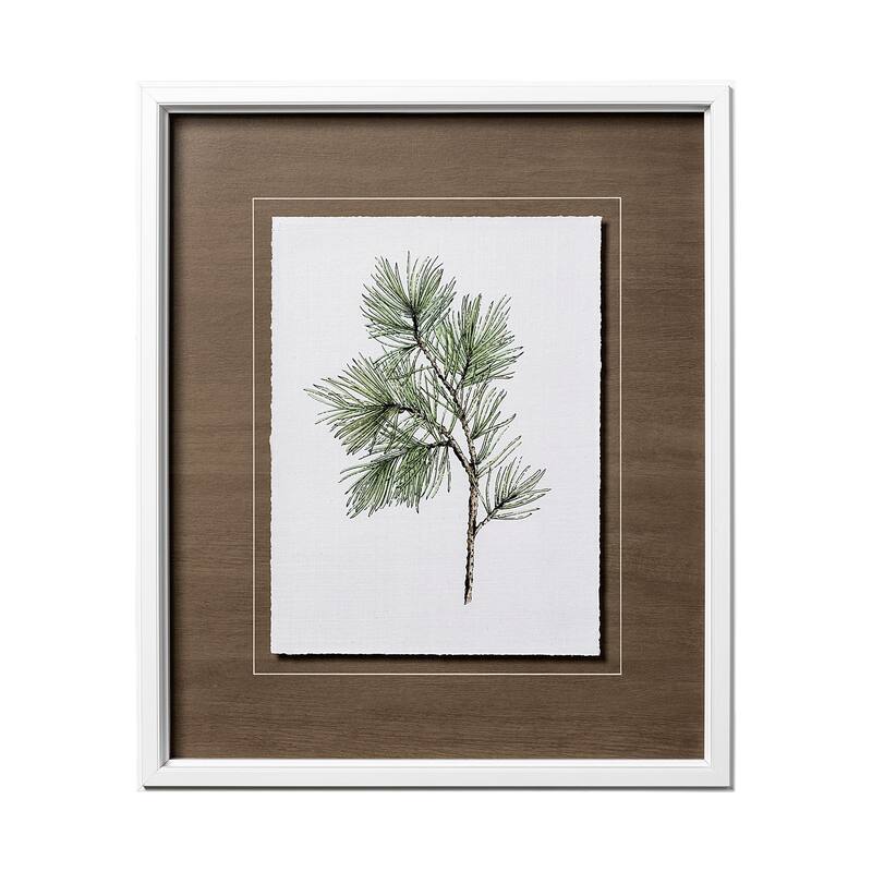 Douglas I Framed Art Print