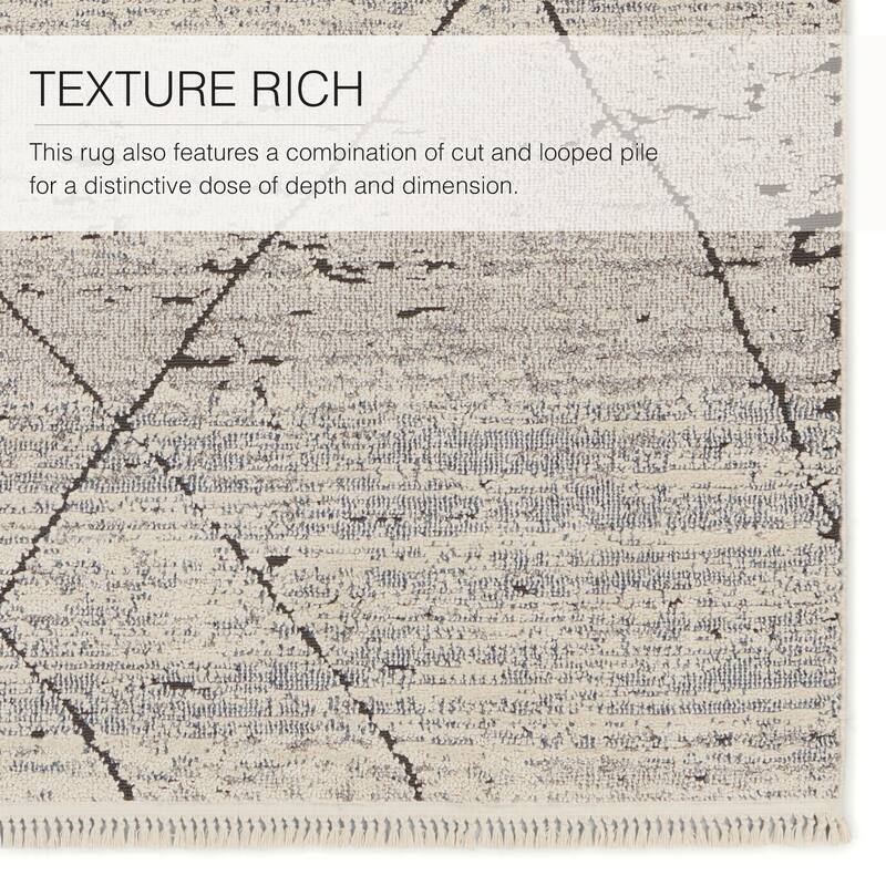 Imani Trellis Area Rug