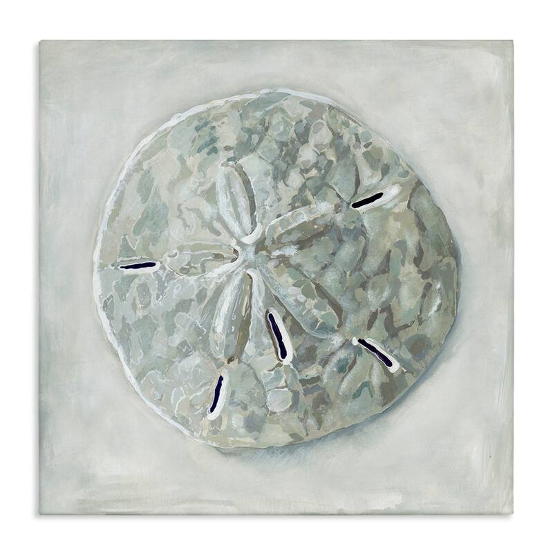 Stupell Sand Dollar Seashell Stretched Canvas Wall Art, Design by Erica Christopher - 24 x 24