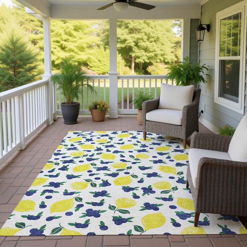 Machine Washable Indoor/ Outdoor Citrus Berry Chantille Rug
